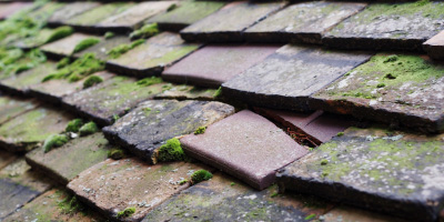 Bottisham roof repair costs